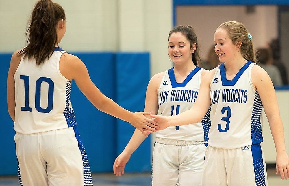 Lady Wildcats exterminate Hornets, 41-36