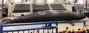 Hector hosts Whale project