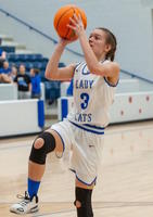 Hector Lady Wildcats bully right past Ozark Catholic Lady Griffins 55-11