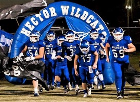 Wildcats